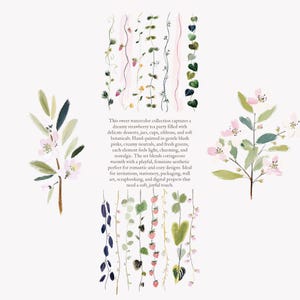 Puede incluir: Ilustraci&oacute;n en acuarela con elementos bot&aacute;nicos, incluyendo vides con fresas, hojas y flores en tonos rosas, verdes y neutros. Ideal para invitaciones, papeler&iacute;a y arte mural, con una est&eacute;tica femenina y so&ntilde;adora.