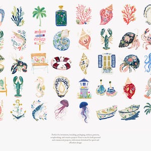 May include: Watercolor illustrations of various beach-themed objects, including seashells, coral, lobsters, and a bench. The artwork features a soft color palette with blue, pink, and green hues. The collection includes a variety of marine life and coastal elements.