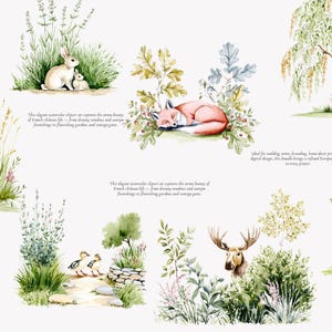 May include: Watercolor illustrations of woodland animals and plants. Includes a sleeping fox, rabbits, a deer, ducks, mushrooms, and a bird. The artwork has a vintage, whimsical style.