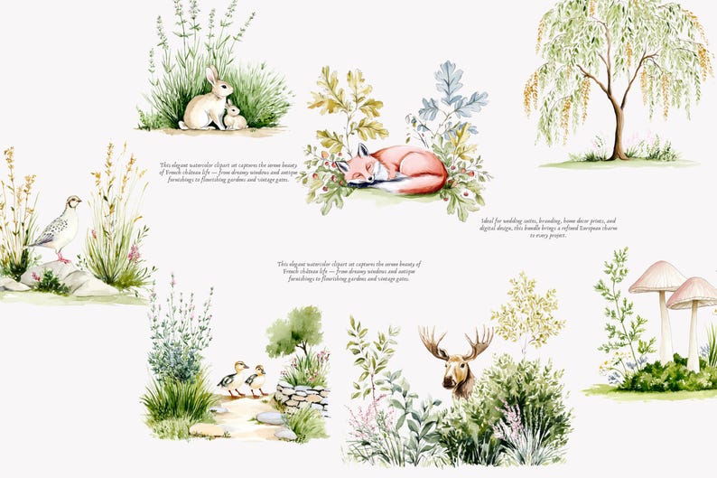 May include: Watercolor illustrations of woodland animals and plants. Includes a sleeping fox, rabbits, a deer, ducks, mushrooms, and a bird. The artwork has a vintage, whimsical style.