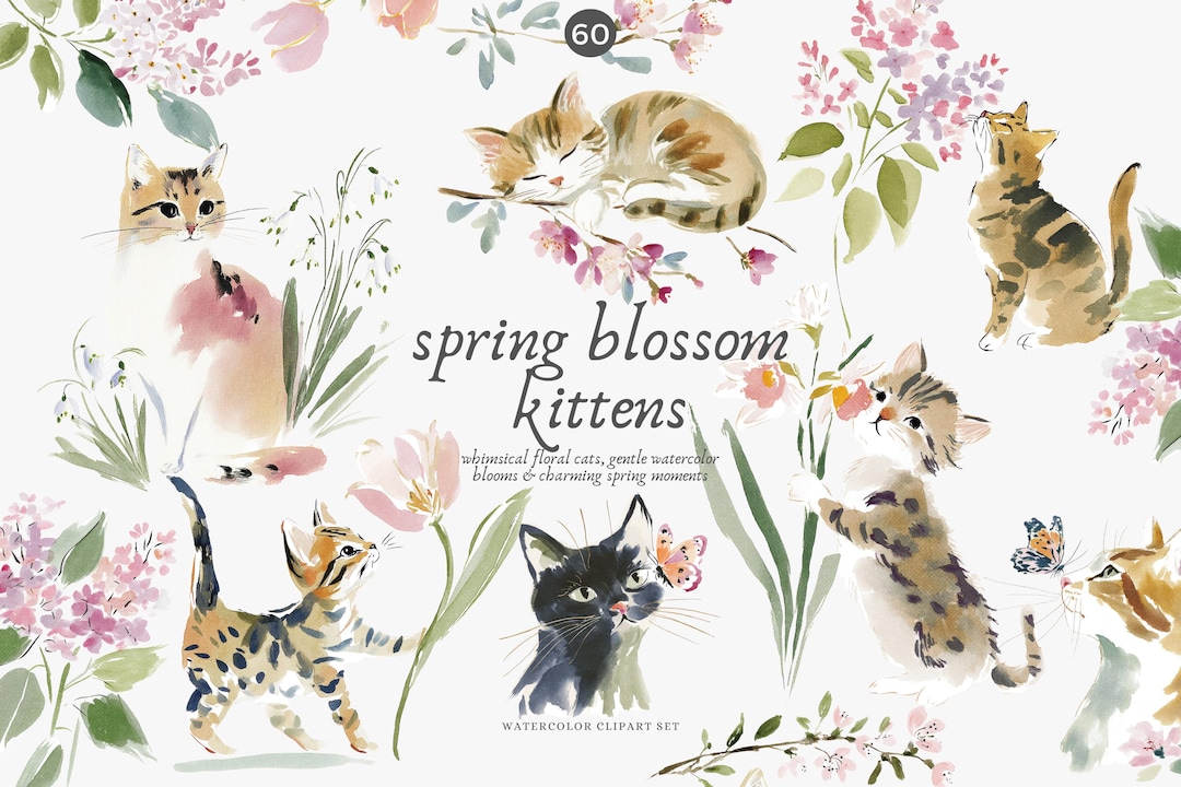 Spring Kitten Watercolor Clipart, Floral Cat Png Set, Gentle Spring ...