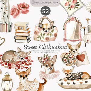Może przedstawiać: Ilustracje akwarelowe przedstawiające różne Chihuahua w miękkiej, pastelowej palecie kolorów. Obraz zawiera psy w filiżance, torebce i na poduszkach. Obecny jest również wystrój kwiatowy i tekst "Sweet Chihuahua".