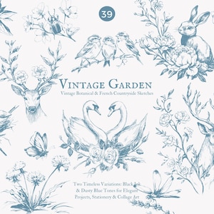 Könnte beinhalten: Eine Sammlung von Vintage-Botanischen Illustrationen in staubigen Blautönen. Das Bild zeigt Skizzen von Blumen, Vögeln, Hirschen, Schmetterlingen und Schwänen. Der Text lautet "VINTAGE GARDEN" und "Two Timeless Variations: Black Ink & Dusty Blue Tones for Elegant Projects, Stationery & Collage Art."