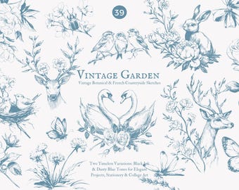 vintage clipart, botanical sketches, line art, floral sketches, woodland animals, vintage flowers, antique clipart, rustic drawings, french