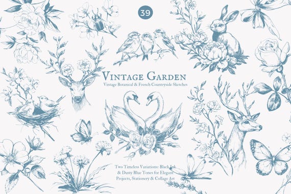 vintage clipart, botanical sketches, line art, floral sketches, woodland animals, vintage flowers, antique clipart, rustic drawings, french