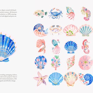 preppy coastal clipart, nautical sea animals watercolor, colorful shells crab shrimp ocean graphics, summer beach illustration set image 7