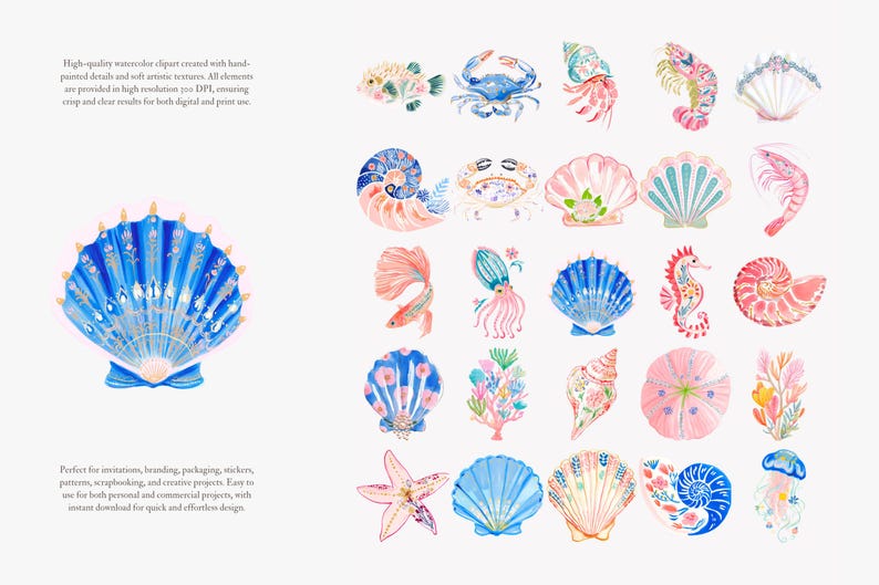 preppy coastal clipart, nautical sea animals watercolor, colorful shells crab shrimp ocean graphics, summer beach illustration set image 7