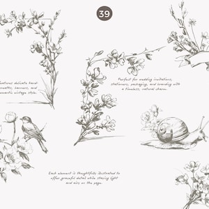 May include: A collection of hand-drawn floral illustrations in a romantic vintage style. The image includes floral arrangements, birds, wreaths, banners, and botanical accents. The number "39" is in a circle.