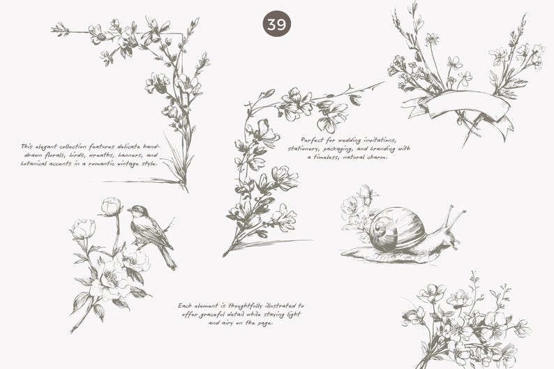 May include: A collection of hand-drawn floral illustrations in a romantic vintage style. The image includes floral arrangements, birds, wreaths, banners, and botanical accents. The number "39" is in a circle.
