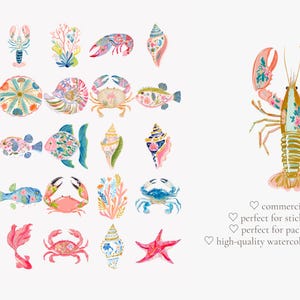 May include: Watercolor illustrations of various sea creatures, including fish, crabs, seahorses, and seashells. The designs feature floral patterns in shades of pink, blue, and yellow. A large lobster is also shown.