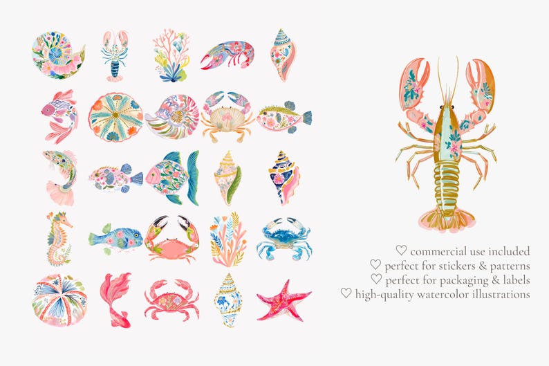 May include: Watercolor illustrations of various sea creatures, including fish, crabs, seahorses, and seashells. The designs feature floral patterns in shades of pink, blue, and yellow. A large lobster is also shown.
