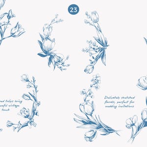 K&ouml;nnte beinhalten: Blaue Blumenskizzen mit Tulpen und anderen Blumen. Das Bild enth&auml;lt die Nummer 23 in einem Kreis und den Text "Sketched tulips bring a peaceful vintage touch" und "Delicately sketched florals, perfect for wedding invitations."