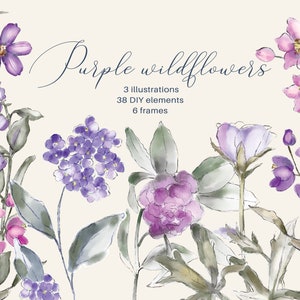May include: Watercolor illustration of purple wildflowers with green leaves. The illustration includes 3 illustrations, 38 DIY elements, and 6 frames.