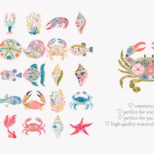 tropical reef clipart, decorative sea creatures watercolor, colorful shells crab fish ocean illustrations, summer beach graphics set image 6