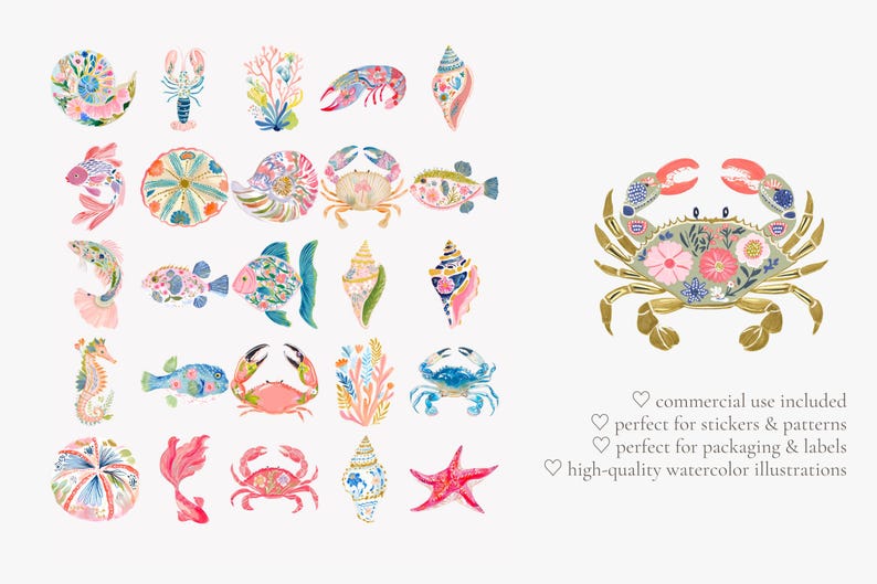 tropical reef clipart, decorative sea creatures watercolor, colorful shells crab fish ocean illustrations, summer beach graphics set image 6