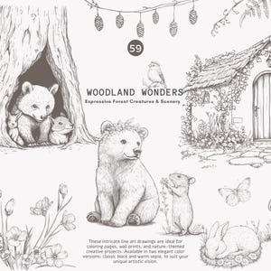 antieke clipart – grafietillustratie – bosafbeeldingen – vintage bos – bosillustraties – handgetekende natuur – potloodschets - png