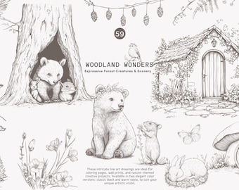 antique clipart – graphite illustration – woodland graphics – vintage forest – woodland clipart – hand-drawn nature – pencil sketch - png