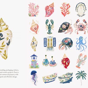 May include: Watercolor illustrations of various sea-themed elements, including seashells, coral, crabs, and a lobster. The artwork features a detailed, hand-painted style with a soft color palette, perfect for invitations and creative projects.