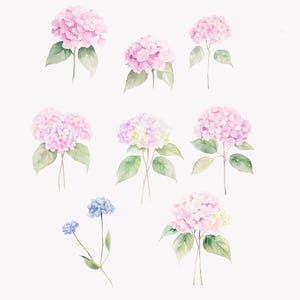 Colección de imágenes prediseñadas de estilo chinoiserie preppy en acuarela rosa: hortensia azul, flores vintage, hortensia rosa, marco azul preppy, flor de boda. imagen 5