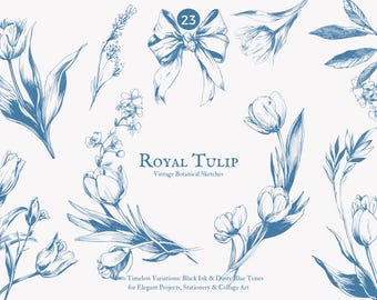 vintage tulips - botanical sketch - floral illustration - dusty blue - hand-drawn flowers - ink tulips - blue tulip - botanical clipart png