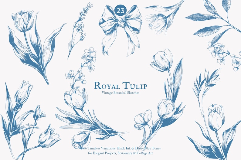 K&ouml;nnte beinhalten: Vintage botanische Skizzen in blauer Tinte, mit Tulpen, Schleifen und anderen floralen Elementen. Der Text "Royal Tulip" und weiterer Text sind enthalten, mit Variationen f&uuml;r elegante Projekte und Collage-Kunst.