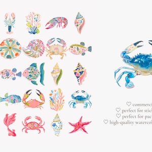 May include: Watercolor illustrations of various sea creatures, including crabs, fish, seahorses, and seashells. The artwork features a vibrant color palette with shades of blue, pink, and coral. The image includes text that says "commercial use included", "perfect for stickers & patterns", "perfect for packaging & labels", and "high-quality watercolor illustrations".