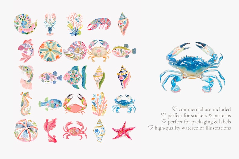 May include: Watercolor illustrations of various sea creatures, including crabs, fish, seahorses, and seashells. The artwork features a vibrant color palette with shades of blue, pink, and coral. The image includes text that says "commercial use included", "perfect for stickers & patterns", "perfect for packaging & labels", and "high-quality watercolor illustrations".