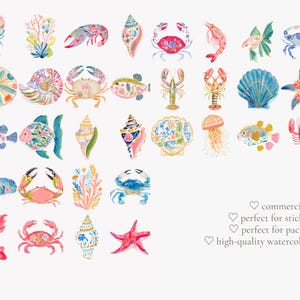 tropical reef clipart, decorative sea creatures watercolor, colorful shells crab fish ocean illustrations, summer beach graphics set image 10
