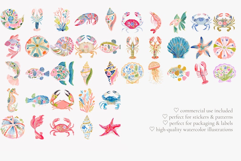 tropical reef clipart, decorative sea creatures watercolor, colorful shells crab fish ocean illustrations, summer beach graphics set image 10