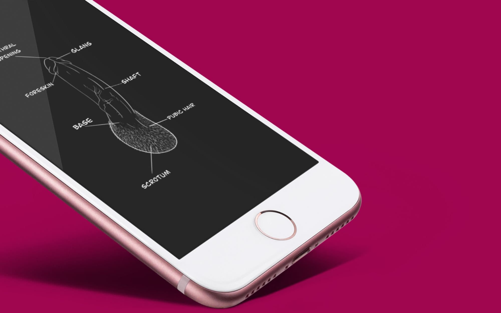 penis-anatomy-black-1-digital-pdf-jpeg-art-file-etsy