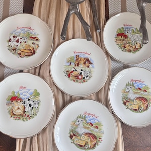 Vintage French Faience Plates - Moulin des Loups Floral Dinnerware