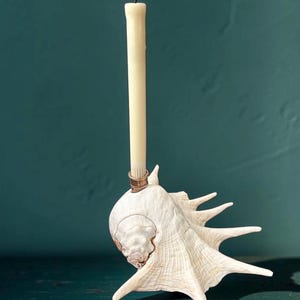 Pode incluir: Um castiçal de concha branca com espinhos e um encaixe metálico de cor cobre no topo. Uma vela cónica longa e fina de cor creme, com uma pequena ponta de chama branca, está inserida na vertical no centro da concha.