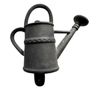May include: A dark gray metal watering can with a handle, spout, and a decorative band around the middle. The watering can has a classic design, perfect for gardening. The spout has a round head with small holes for water distribution.
