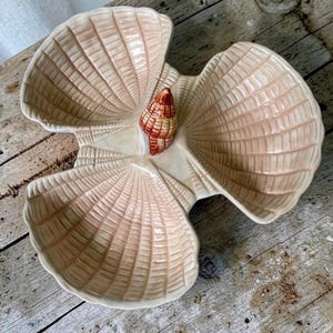 May include: A three-section ceramic serving dish shaped like three large, pale pink scallop shells joined together. A small, detailed, reddish-brown spiral seashell is attached to the center where the three sections meet, featuring ridges.