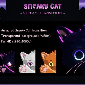 Peut inclure: Transition animée mettant en scène un chat furtif qui se cache derrière un mur. Le chat a une fourrure noire, blanche ou orange. L'arrière-plan est transparent, ce qui le rend adapté à l'édition vidéo. La transition est en résolution Full HD (1920x1080p).