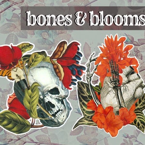 Bones & Flowers Stickers Vinyl Surreal Skull Gothic Dark Plants Horror Weird Death Emo Heartbreak Funny Gifts Birthdays Christmas Halloween