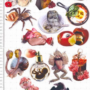 Pode incluir: Uma colagem de imagens surreais, incluindo uma tar&acirc;ntula com rosto de boneca, um frasco de perfume com um feto e um corvo com rosto de boneca. Outras imagens incluem uma caixa de "Crayons Amaldi&ccedil;oados" e um ovo frito com um rosto.