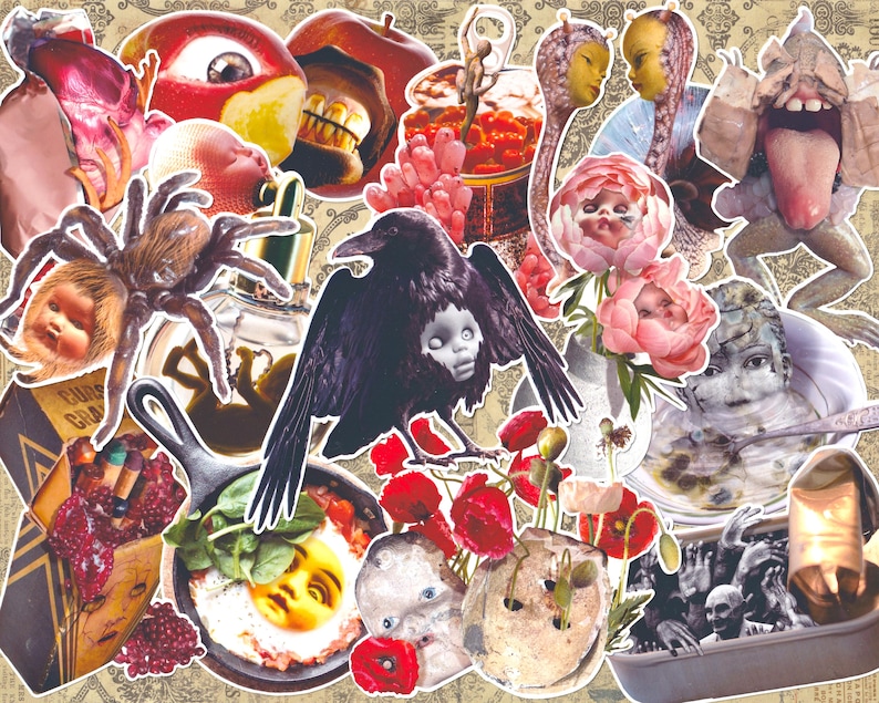 Pode incluir: Uma colagem de imagens surreais, incluindo um corvo com rosto de boneca, uma aranha, um ovo frito com um rosto e v&aacute;rios outros elementos bizarros. A paleta de cores &eacute; uma mistura de vermelhos, castanhos e verdes, criando uma est&eacute;tica sombria e intrigante.