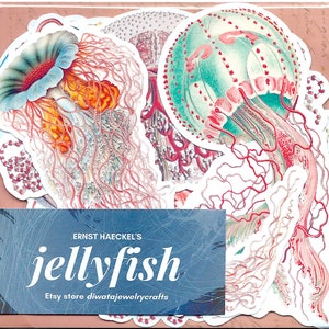 Quallen Vinyl Aufkleber Pack Ernst Haeckel Naturgeschichte (Niedliche Natur Ozean Meer Tiere Fische Fine Art Geschenke Sommer Geburtstage Weihnachten)