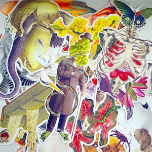 Adesivi in vinile surreali (corpi horror, strani e bizzarri), ibridi di animali e piante, mutanti, regali divertenti per compleanni, Natale, Halloween