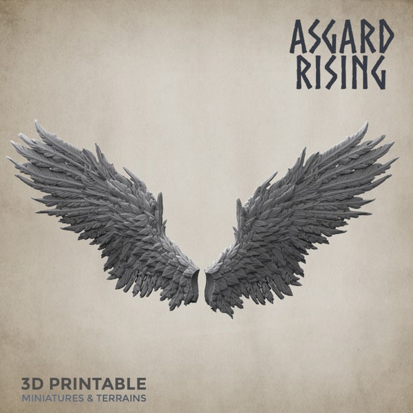 Set ali - scala 28/32 mm / Asgard Rising