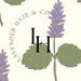 Owner of <a href='https://www.etsy.com/shop/LavenderHazeandCo?ref=l2-about-shopname&from_page=listing' class='wt-text-link'>LavenderHazeandCo</a>