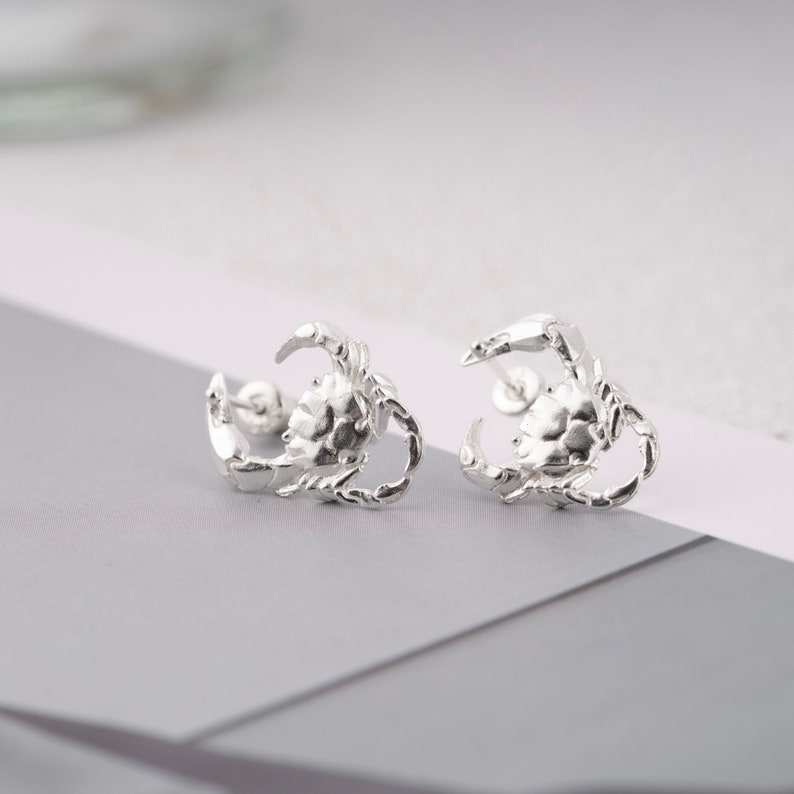 Custom Crab Earrings.Solid Platinum Stud Earrings.Crab Lover Gift Earrings.Gift For Her.Handmade Gift.Personalized Gifts.Coppertist.wu image 8