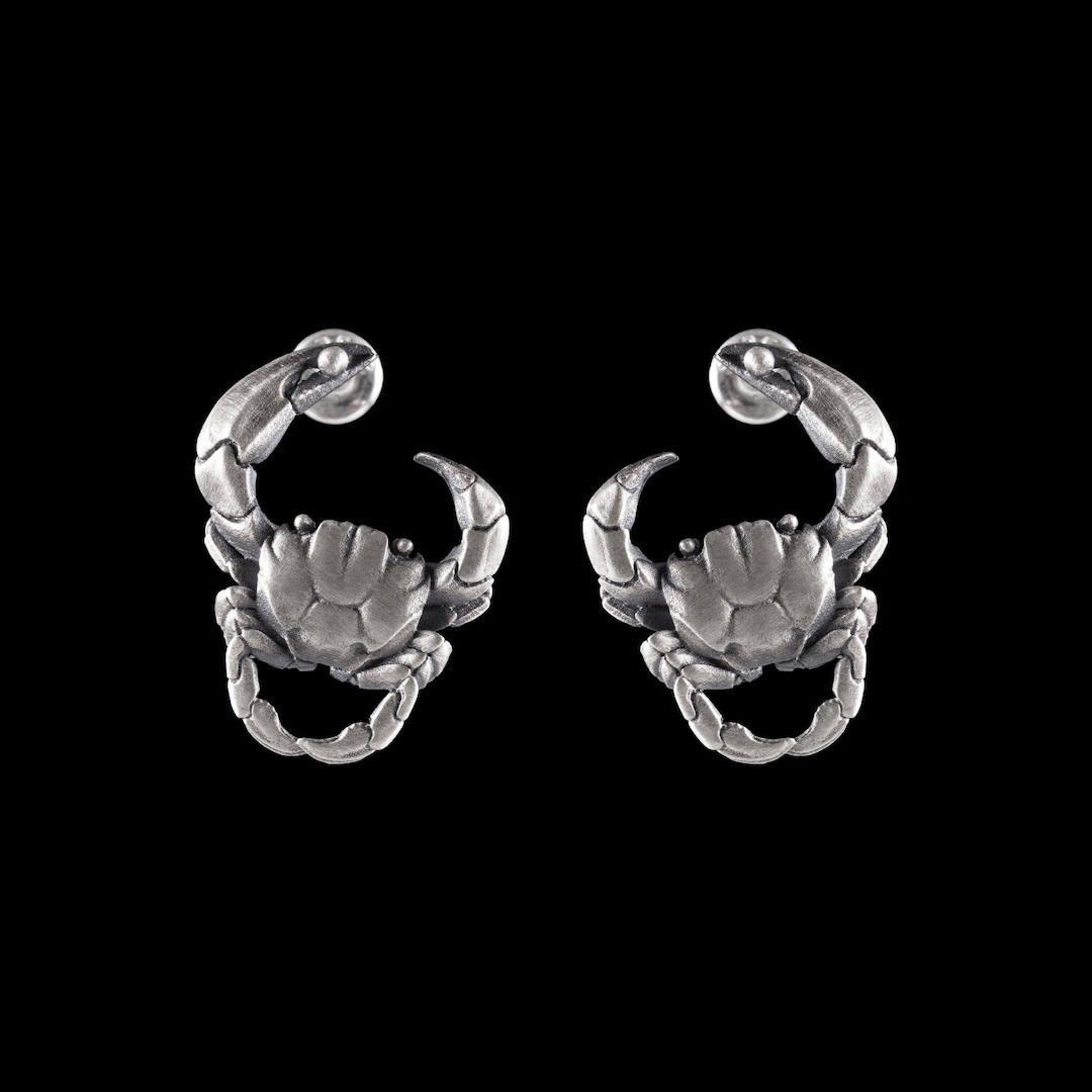 Silver Crab Earrings. Cute Studs Crabs Earrings. Crab Lover Etsy