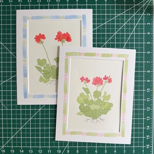 Puede incluir: Dos tarjetas de felicitaci&oacute;n rectangulares con ilustraciones en acuarela de geranios rojos con hojas verdes y ra&iacute;ces visibles. Una tarjeta tiene un borde azul claro y verde, mientras que la otra tiene un borde a rayas verde claro y rosa.