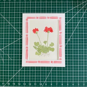 Puede incluir: Una l&aacute;mina rectangular con una ilustraci&oacute;n bot&aacute;nica de dos flores de geranio rojas con hojas verdes y ra&iacute;ces visibles. La l&aacute;mina est&aacute; enmarcada en un paspart&uacute; blanco decorado con un patr&oacute;n de borde a rayas de color rosa y blanco pintado a mano.