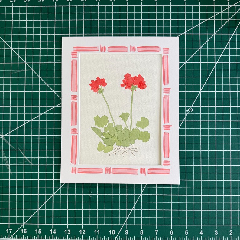 Puede incluir: Una l&aacute;mina rectangular con una ilustraci&oacute;n bot&aacute;nica de dos flores de geranio rojas con hojas verdes y ra&iacute;ces visibles. La l&aacute;mina est&aacute; enmarcada en un paspart&uacute; blanco decorado con un patr&oacute;n de borde a rayas de color rosa y blanco pintado a mano.