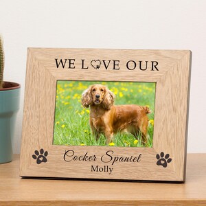 May include: A wooden photo frame with the text "We Love Our" and a heart made of paw prints. The frame has a photo of a brown cocker spaniel dog with the text "Cocker Spaniel Molly" below the photo.