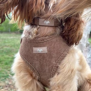 May include: A brown corduroy dog harness and matching collar featuring a textured ribbed fabric. Both pieces include a rectangular beige leather-like patch with the text fluffs LON printed in white. The harness covers the chest area.