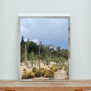 Natur Wandkunst | Natur Kunstdrucke | Barcelona Wandkunst | Natur Poster | Kaktus Druck | Schlafzimmer Wandkunst | Reisedruck | Kaktus Kunst